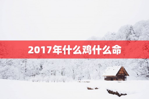 2017年什么鸡什么命