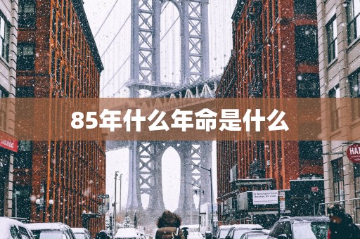 85年什么年命是什么