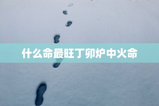 什么命最旺丁卯炉中火命