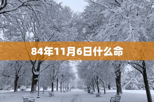 84年11月6日什么命