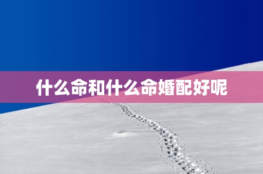 什么命和什么命婚配好呢