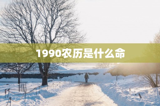 1990农历是什么命