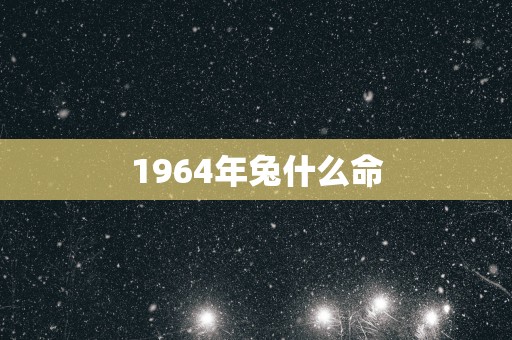 1964年兔什么命