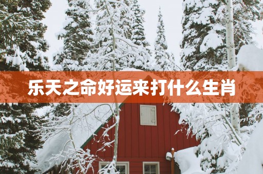 乐天之命好运来打什么生肖