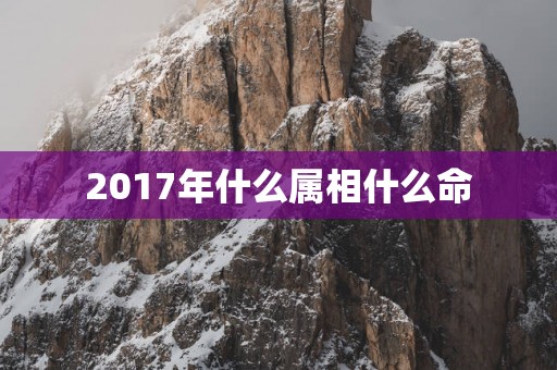 2017年什么属相什么命