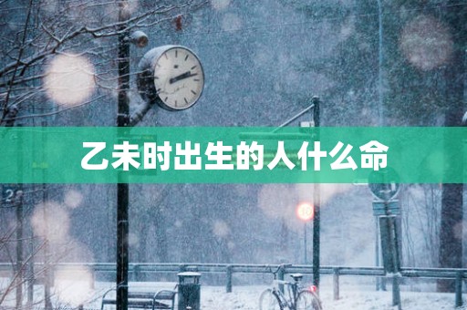 乙未时出生的人什么命