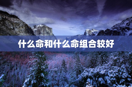 什么命和什么命组合较好