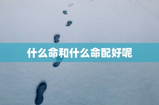 什么命和什么命配好呢