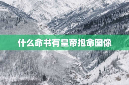 什么命书有皇帝抱命图像