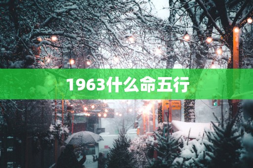 1963什么命五行