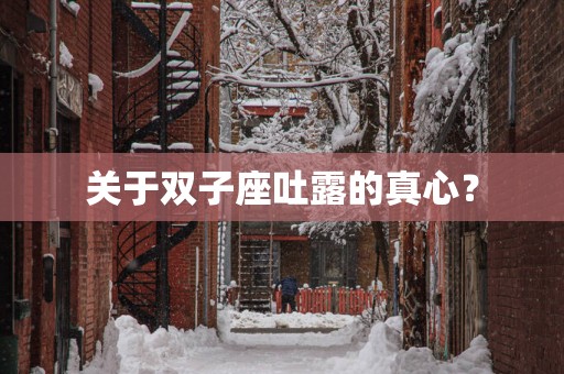 关于双子座吐露的真心？