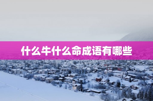 什么牛什么命成语有哪些