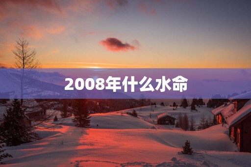 2008年什么水命
