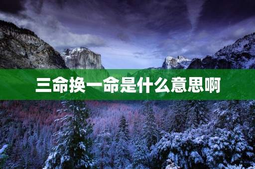 三命换一命是什么意思啊