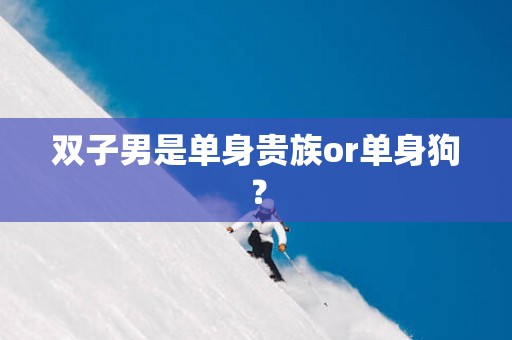双子男是单身贵族or单身狗？