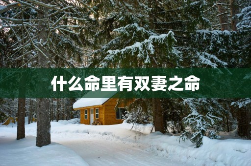 什么命里有双妻之命