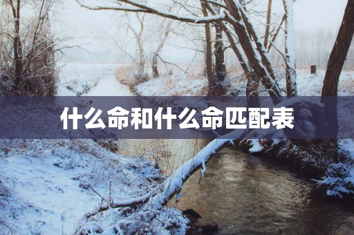 什么命和什么命匹配表