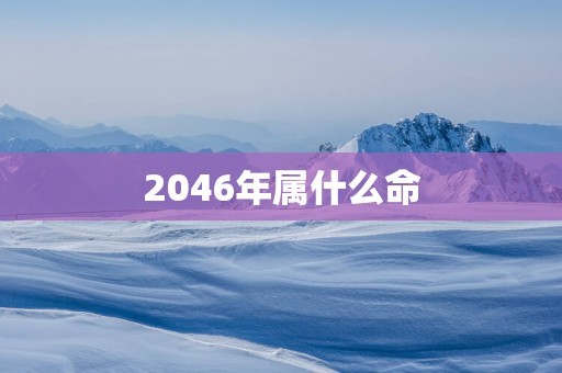 2046年属什么命