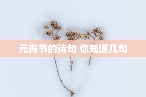 元宵节的诗句 你知道几句