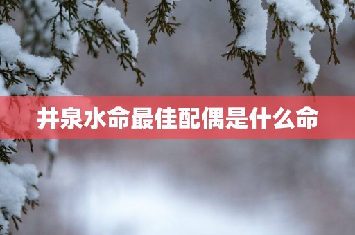 井泉水命最佳配偶是什么命