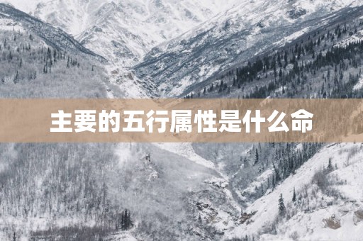 主要的五行属性是什么命