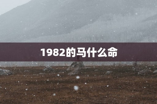 1982的马什么命 1982的马什么命