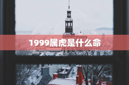 1999属虎是什么命