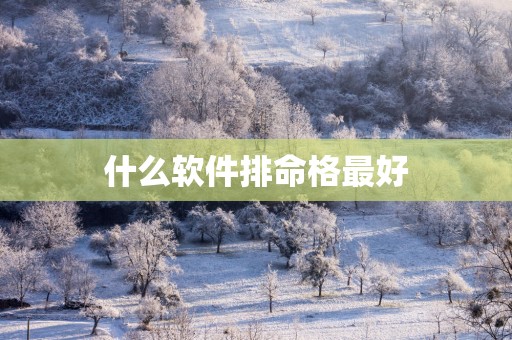 什么软件排命格最好