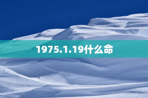 1975.1.19什么命