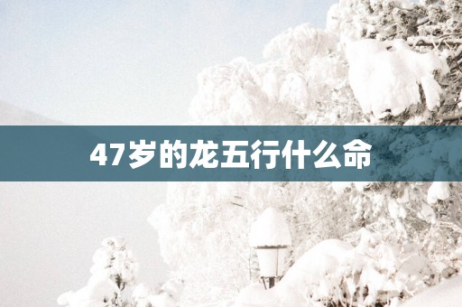 47岁的龙五行什么命