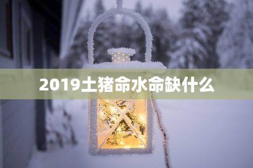2019土猪命水命缺什么