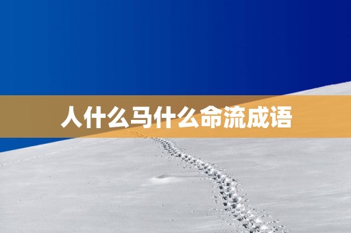 人什么马什么命流成语