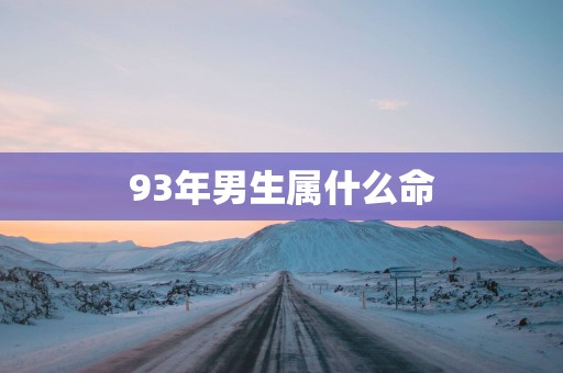 93年男生属什么命
