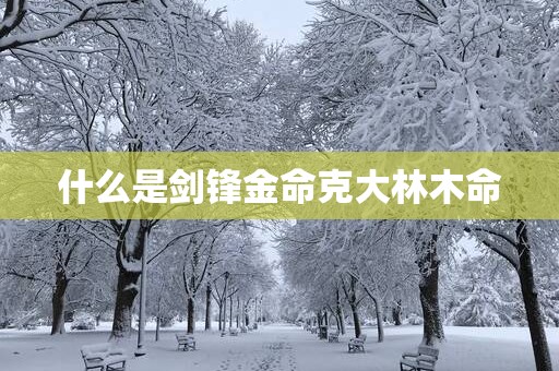 什么是剑锋金命克大林木命