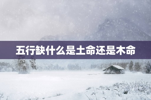 五行缺什么是土命还是木命