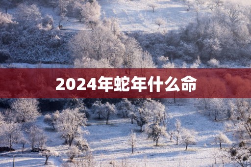 2025年蛇年什么命