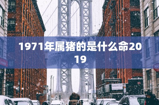 1971年属猪的是什么命2019