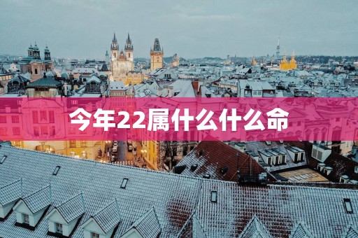 今年22属什么什么命