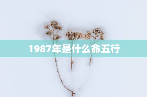 1987年是什么命五行