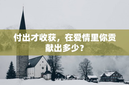 付出才收获，在爱情里你贡献出多少？