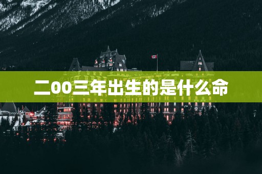 二00三年出生的是什么命