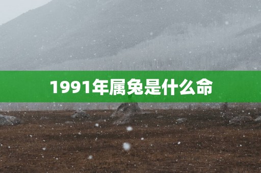 1991年属兔是什么命