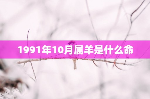 1991年10月属羊是什么命
