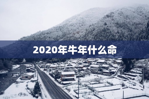 2025年蛇年什么命