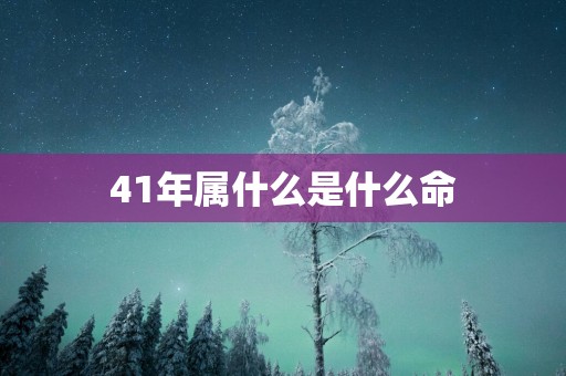 41年属什么是什么命