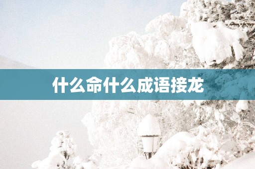 什么命什么成语接龙