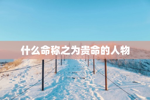 什么命称之为贵命的人物