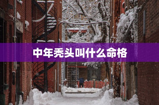 中年秃头叫什么命格