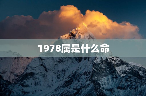 1978属是什么命