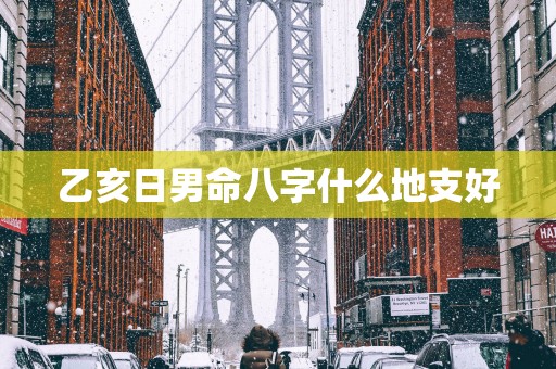 乙亥日男命八字什么地支好